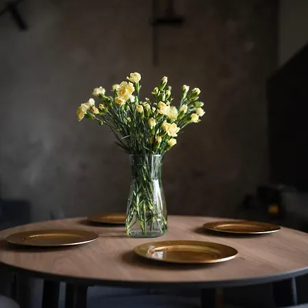 Apartment Easy Rent - Jasna Centrum Taras